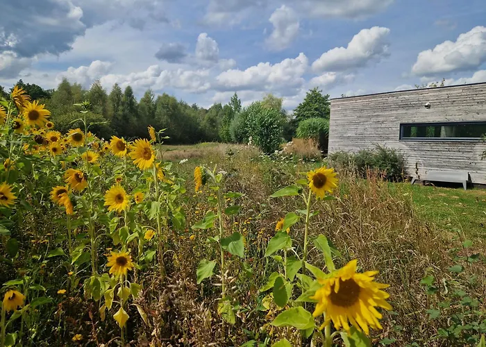 Sfeervol chalet midden in de natuur